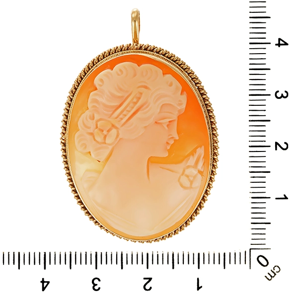 Brosche, 14K, Gelbgold, Anhänger, Gemme