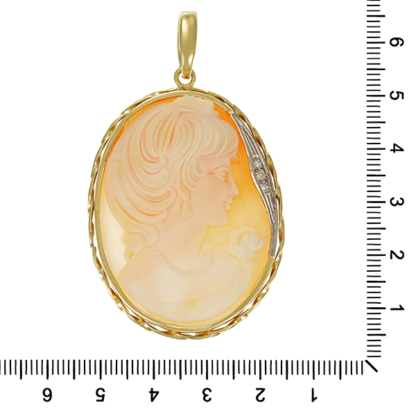 Anhänger, 14K, Gelb-/Weißgold, Gemme, Diamanten