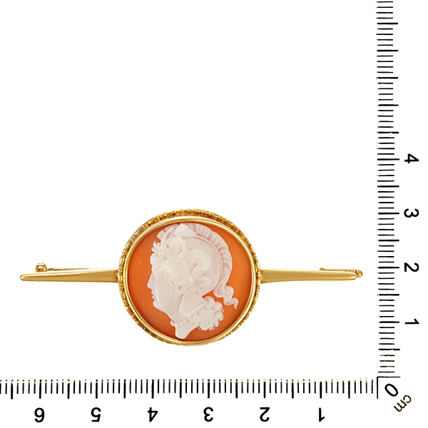 Brosche/Nadel, 14K, Gelbgold, Kamee