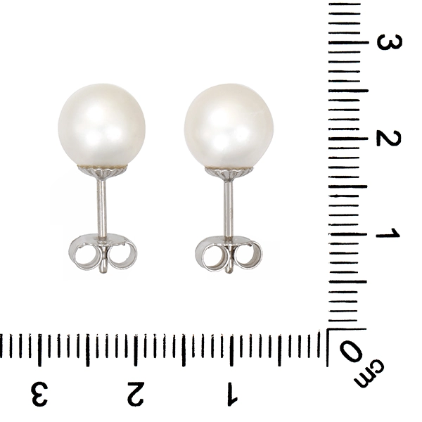 Ohrstecker, 14K, Weißgold, Zuchtperlen