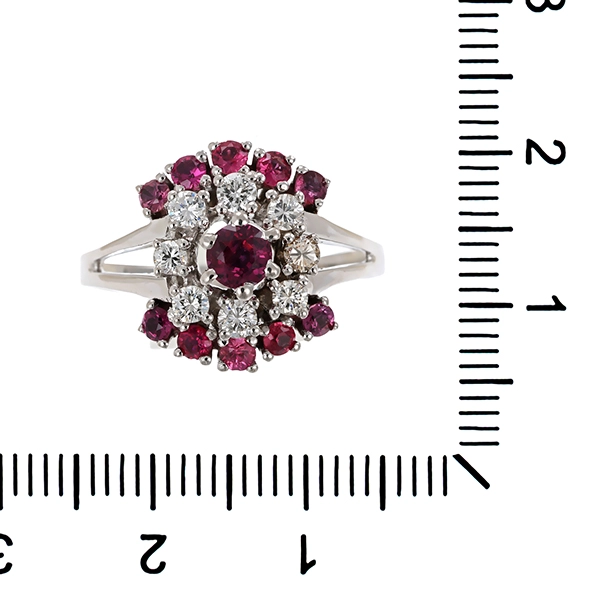Ring, 14K, Weißgold, Rubine, Brillanten