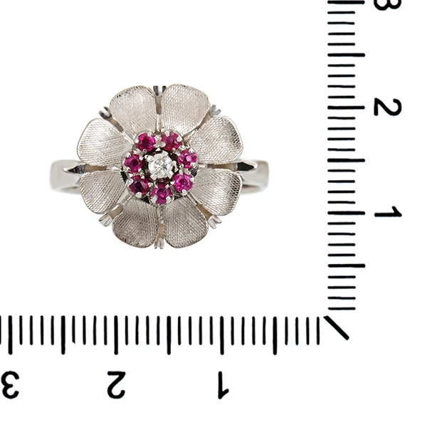 Ring, 14K, Weißgold, Brillant, Rubine