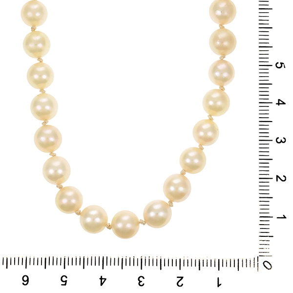 Perlenkette, Schließe 14K, Gelbgold