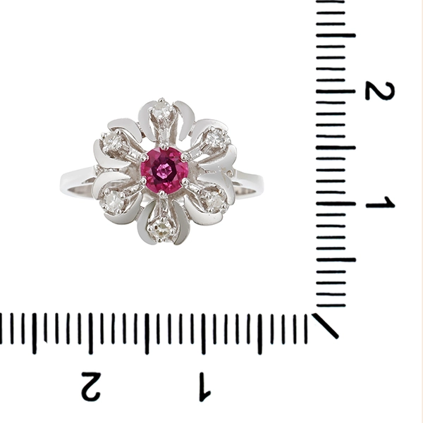 Ring, 14K, Weißgold, Rubin, Diamanten