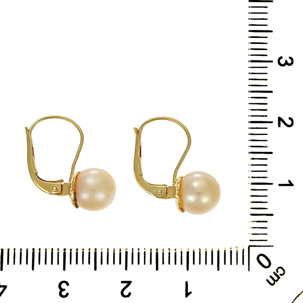 Ohrhänger, 14K, Gelbgold, Perle