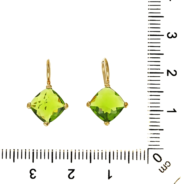 Ohrhänger, 8K, Gelbgold, Diopside