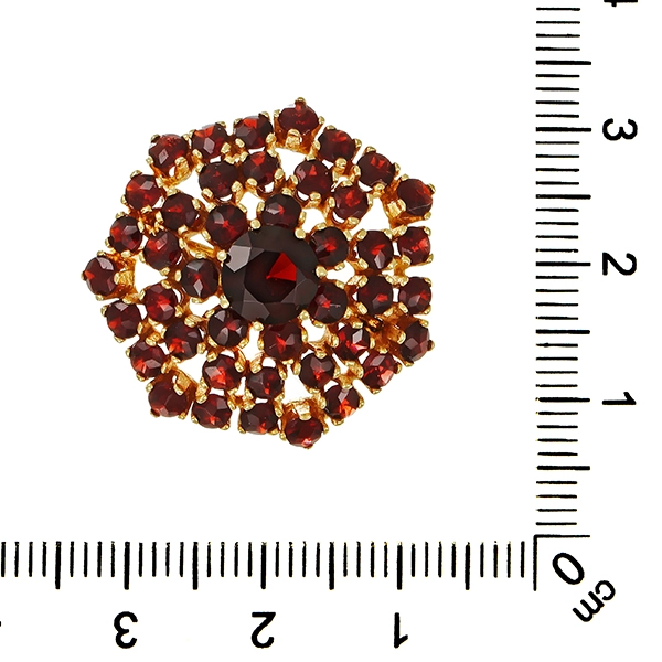 Brosche, 14K, Gelbgold, Granat
