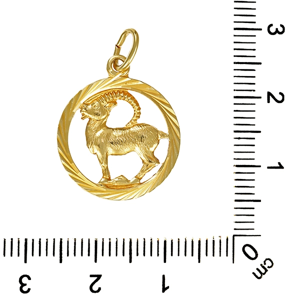 Anhänger, 14K, Gelbgold, Steinbock