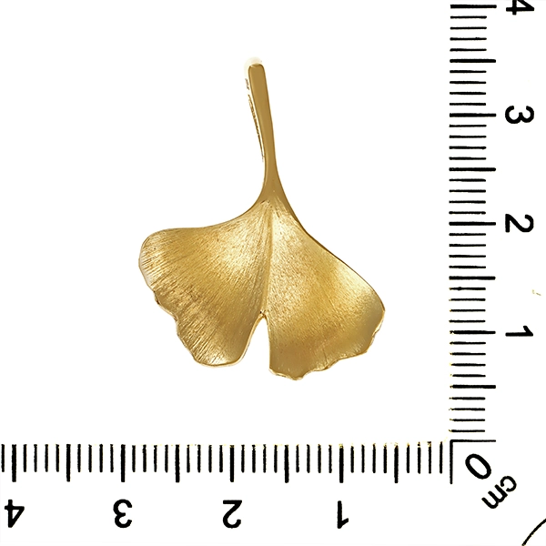Anhänger, 14K, Gelbgold, Ginko