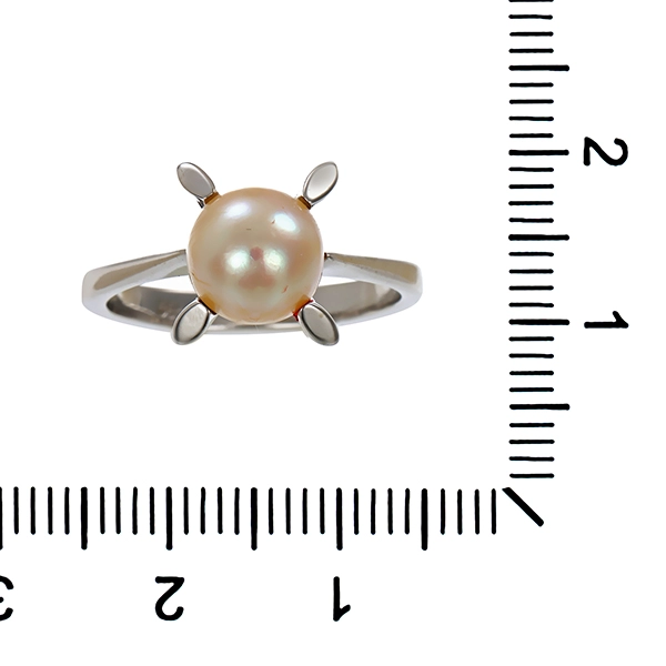 Ring, 14K, Weißgold, Perle