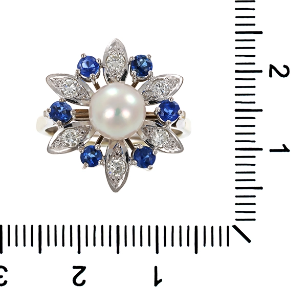 Diamantring, 14K, Weißgold, Brillant, Saphir