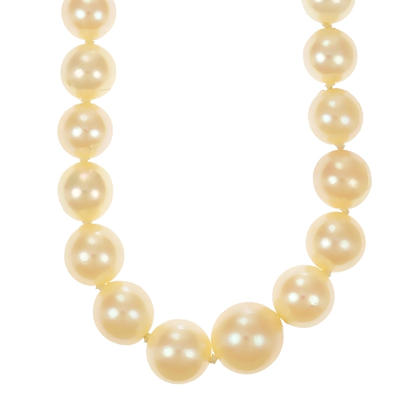 Perlenkette, Schließe 585, Gelb-/Weißgold