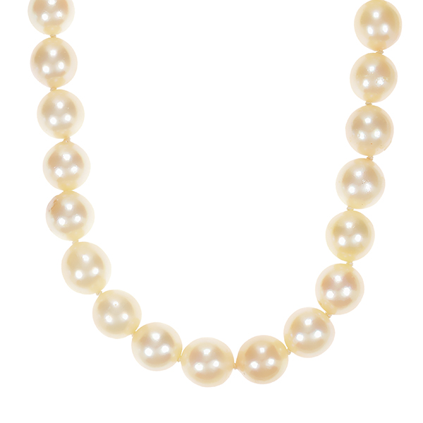 Perlenkette , 14K, Weißgold, Saphire, Perlen 