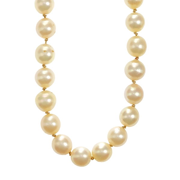 Perlenkette, Schließe 14K, Gelb-/Weißgold, Perlen