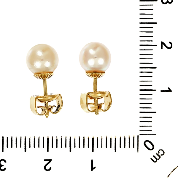 Ohrstecker, 14K, Gelbgold, Perle