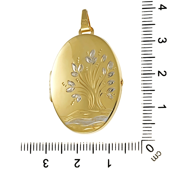 Anhänger, 8K, Gelb-/Weißgold, Medaillon