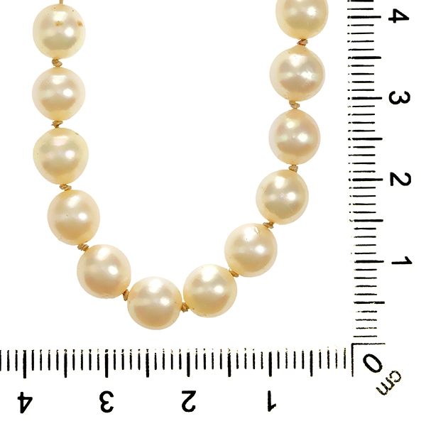 Perlenkette, Schließe 14K, Gelb-/Weißgold, Perlen