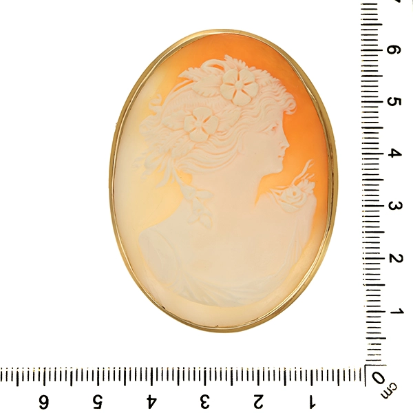 Brosche, 18K, Gelbgold, Gemme