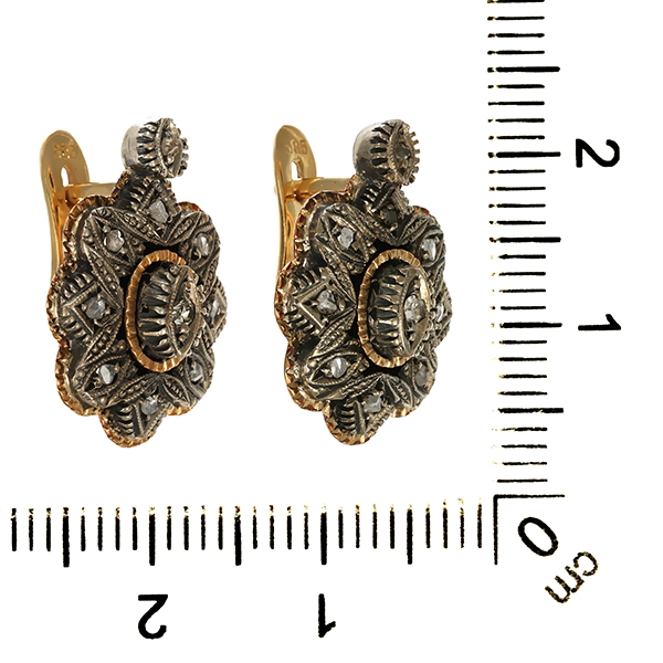 Ohrhänger, 14K/Gelbgold mit Silber, Diamatrosen